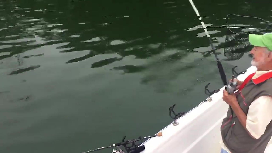 Lake Hartwell hybrids put a hurt on Okuma Striper Rods